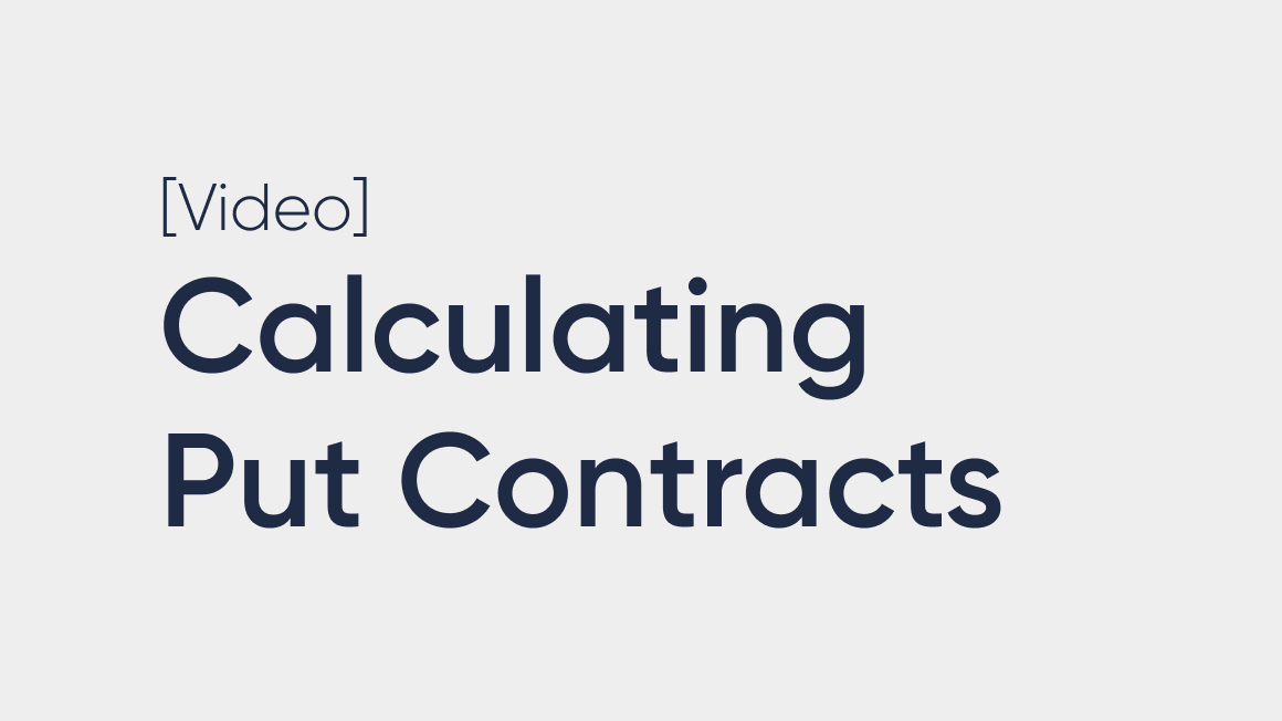 Calculating Put Contracts Needed to Protect a Portfolio